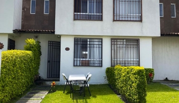 MONTE SINAI  72 2.jpg